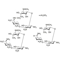 Gentamicin sulfate salt powder|38481|1405-41-0