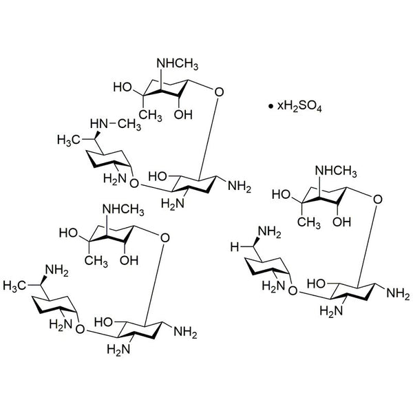 Gentamicin sulfate salt powder|38481|1405-41-0