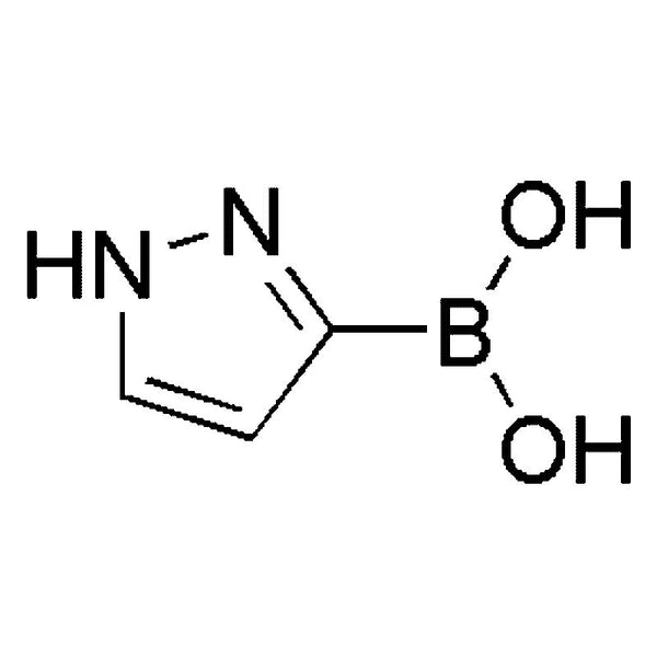 1H-Pyrazol-3-yl boronic acid|17322|376584-63-3