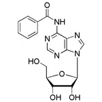 N6-Benzoyladenosine|00877|4546-55-8
