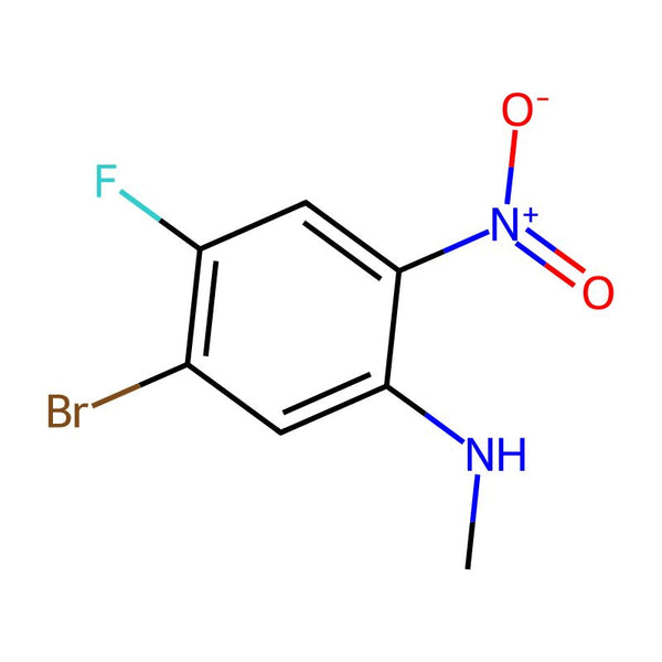 5-Bromo-4-fluoro-N-methyl-2-nitroaniline|CS-0102151|1356483-97-0