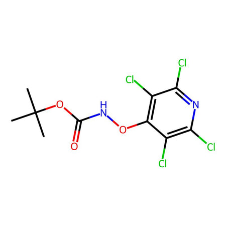 tert-Butyl (perchloropyridin-4-yl)oxycarbamate, 99%|9200608|2591503-08-9