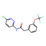N-(6-Chloropyridazin-3-yl)-2-(3-(trifluoromethoxy)phenyl)acetamide|CS-0012096|1439400-46-0