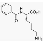 Na-Benzoyl-L-lysine|03101|366-74-5