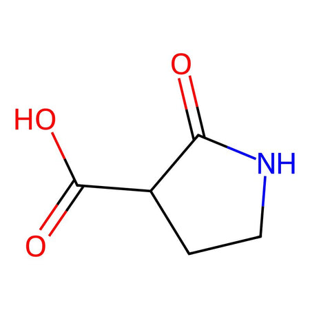 2-Oxo-pyrrolidine-3-carboxylic acid, 98%|1033168|96905-67-8