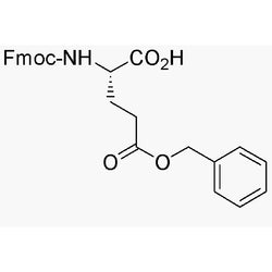 Fmoc-L-glutamic acid g-benzyl ester|02412|123639-61-2
