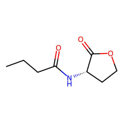N-Butanoyl-L-homoserine lactone|CS-0064384|67605-85-0