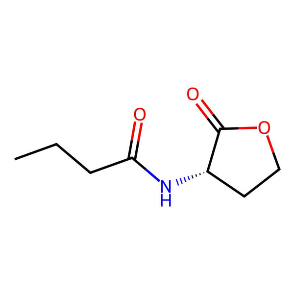 N-Butanoyl-L-homoserine lactone|CS-0064384|67605-85-0