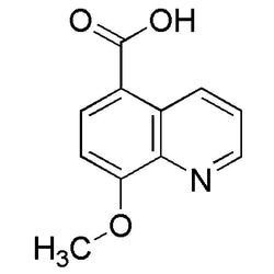 8-Methoxyquinoline-5-carboxylic acid|26251|199871-63-1