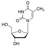 Thymidine|33055|50-89-5