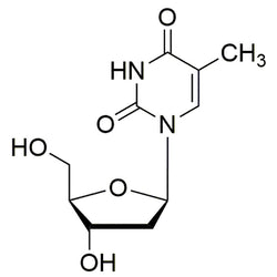 Thymidine|33055|50-89-5