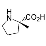 L-a-Methylproline|08219|42856-71-3