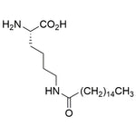 Ne-Palmitoyl-L-lysine|33452|59012-43-0