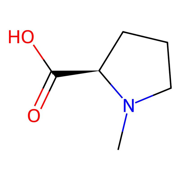 N-Methyl-D-proline|CS-W001861|58123-62-9