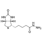 (+)-Biotin hydrazide|23022|66640-86-6