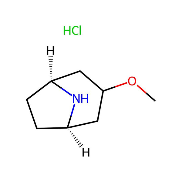 endo-3-Methoxy-8-azabicyclo[3.2.1]octane hydrochloride|CS-0053612|1421254-66-1