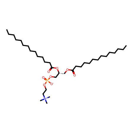 1,2-Dimyristoyl-sn-glycero-3-phosphocholine, 99%, A synthetic phospholipid used to study biological membranes|173134|18194-24-6