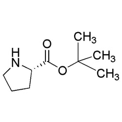 L-Proline tert-butyl ester|03132|2812-46-6