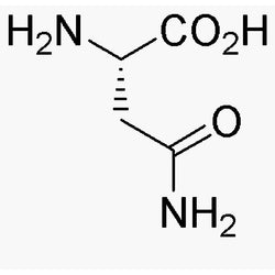 L-Asparagine anhydrous|00464|70-47-3