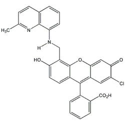 2-{2-Chloro-6-hydroxy-5-[2-methylquinolin-8-ylaminomethyl]-3-oxo-3H-xanthen-9-yl}benzoic acid FL|07-0293|905982-78-7