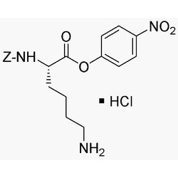 Na-Z-L-lysine 4-nitrophenyl ester hydrochloride|02208|2179-15-9