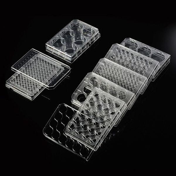 Cell Culture Plate, PS, 6 well, 85.4x127.6mm, Flat Bottom, TC treated, Sterile. Individually wrapped|30006