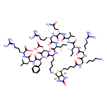 Biotinyl-KR-12 (human) trifluoroacetate salt|CPTD787680|2022956-47-2