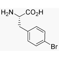 4-Bromo-L-phenylalanine|04086|24250-84-8