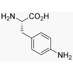 4-Amino-L-phenylalanine|02594|943-80-6
