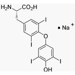3,3',5,5'-Tetraiodo-L-thyronine sodium salt|04467|25416-65-3