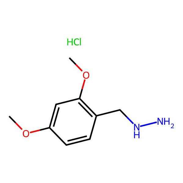 [(2,4-dimethoxyphenyl)methyl]hydrazine hydrochloride|CS-0216265|462059-71-8