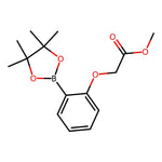 Methyl 2-(2-(4,4,5,5-tetramethyl-1,3,2-dioxaborolan-2-yl)phenoxy)acetate|CS-0177764|1171885-29-2