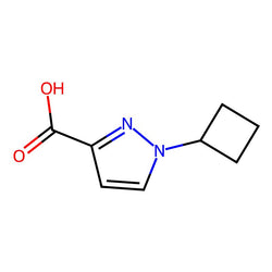 1-Cyclobutyl-1H-pyrazole-3-carboxylic acid|CS-0530574|1889254-81-2