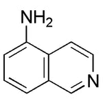 5-Aminoisoquinoline|27089|1125-60-6