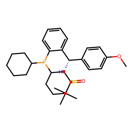 [S(R)]-N-[(S)-(4-Methoxyphenyl)[2-(dicyclohexylphosphino)phenyl]methyl]-2-methyl-2-propanesulfinamide, 95%|9426154|2891776-25-1