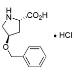 O-Benzyl-L-trans-L-4-hydroxyproline hydrochloride|16272|66831-16-1
