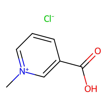 Trigonelline hydrochloride, 98%|950260|6138-41-6