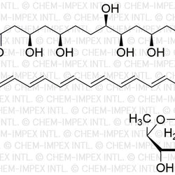Amphotericin B from?Streptomyces?species|38472|1397-89-3