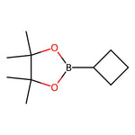 2-cyclobutyl-4,4,5,5-tetramethyl-1,3,2-dioxaborolane|CS-0163100|1360914-08-4