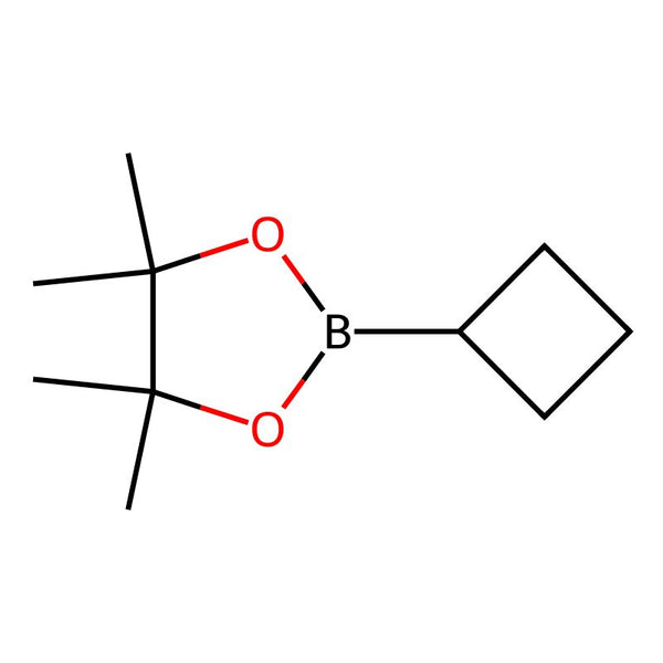 2-cyclobutyl-4,4,5,5-tetramethyl-1,3,2-dioxaborolane|CS-0163100|1360914-08-4