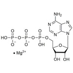 Adenosine-5'-triphosphate magnesium salt, bacterial|42142|74804-12-9