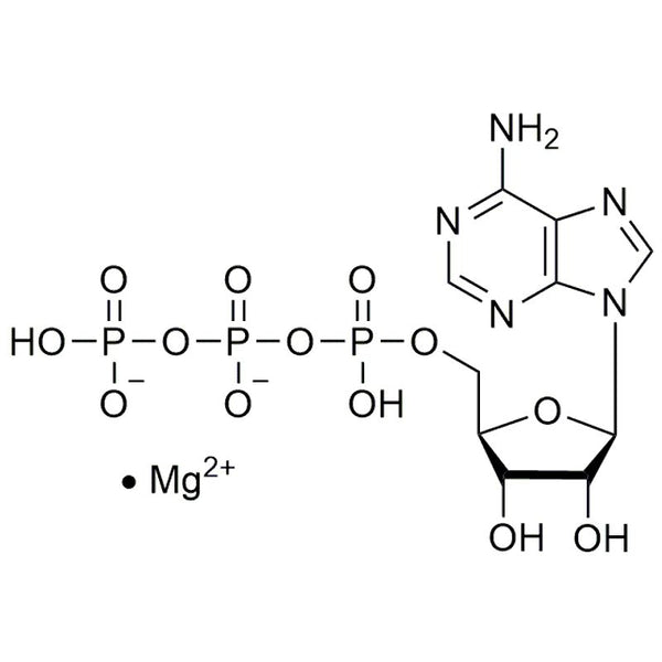 Adenosine-5'-triphosphate magnesium salt, bacterial|42142|74804-12-9
