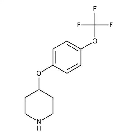 4-[4-(Trifluoromethoxy)phenoxy]piperidine, 99%|708644|287952-67-4