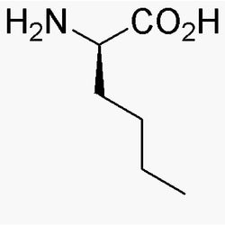 D-Norleucine|03404|327-56-0