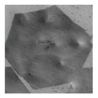 Monolayer High Strength Metallurgical Graphene, HSMG®, on PMMA (25x25 mm)|06-0355|1034343-98-0