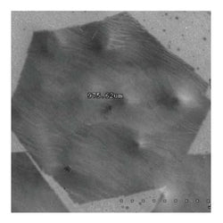 Monolayer High Strength Metallurgical Graphene, HSMG?, on GLASS (10x10 mm)|06-0365|1034343-98-0