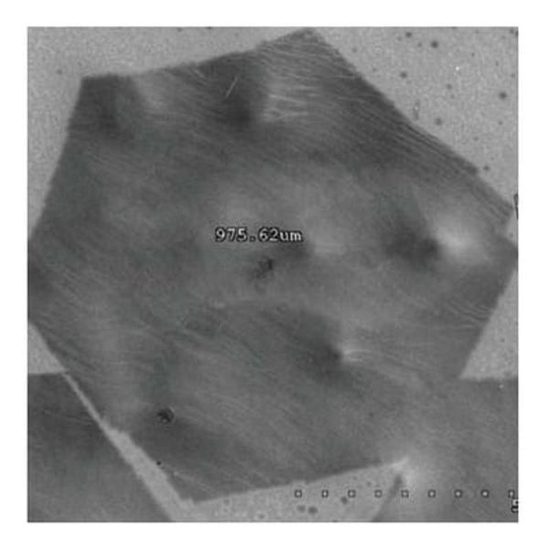Monolayer High Strength Metallurgical Graphene, HSMG?, on GLASS (10x10 mm)|06-0365|1034343-98-0