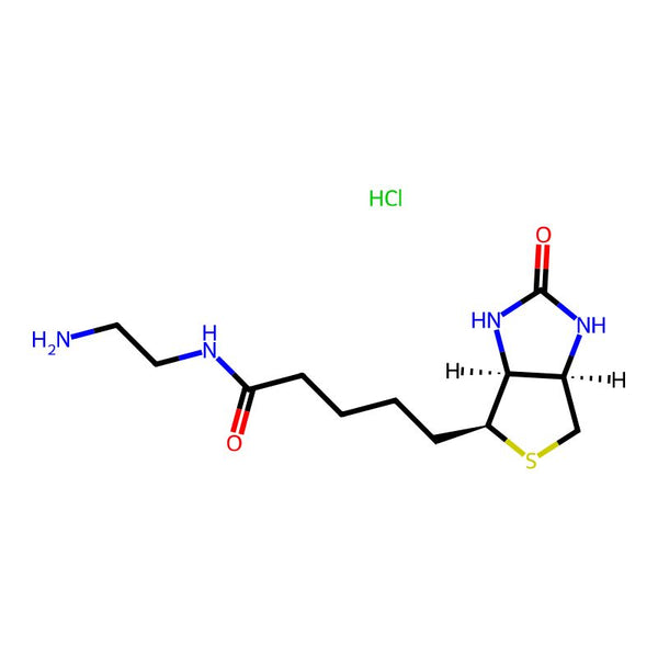 N-(2-Aminoethyl)-5-((3aS,4S,6aR)-2-oxohexahydro-1H-thieno[3,4-d]imidazol-4-yl)pentanamide hydrochloride|CS-W009880|111822-45-8