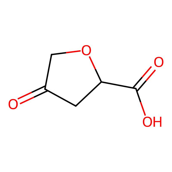 4-Oxotetrahydrofuran-2-carboxylic acid|CS-0627494|2056072-58-1