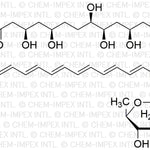Amphotericin B|00329|1397-89-3
